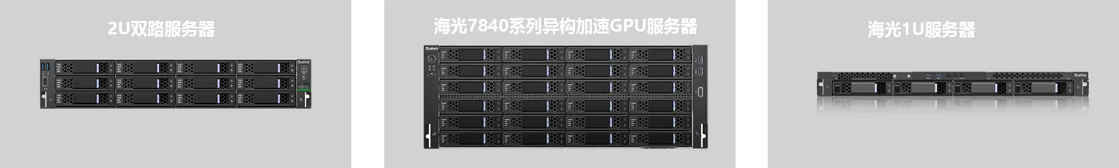 网络安全：海光2U网安工控机：某电子政务办公信息系统(图1)