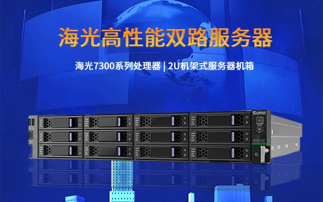 海光7300系列双路服务器 重性能更重售后服务