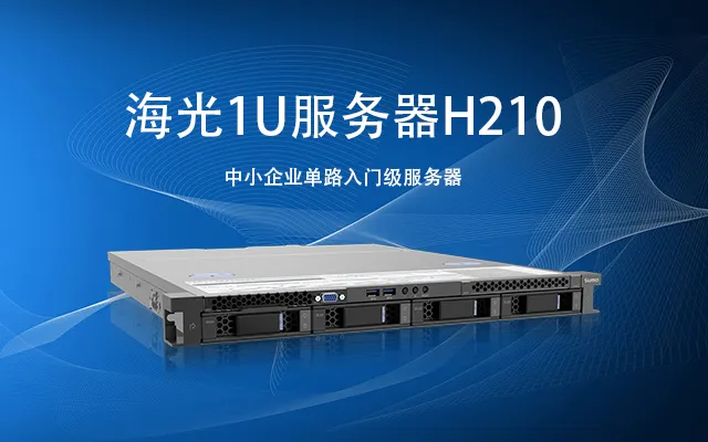 安全可控先锋：海光服务器H210 搭载国产X86处理器